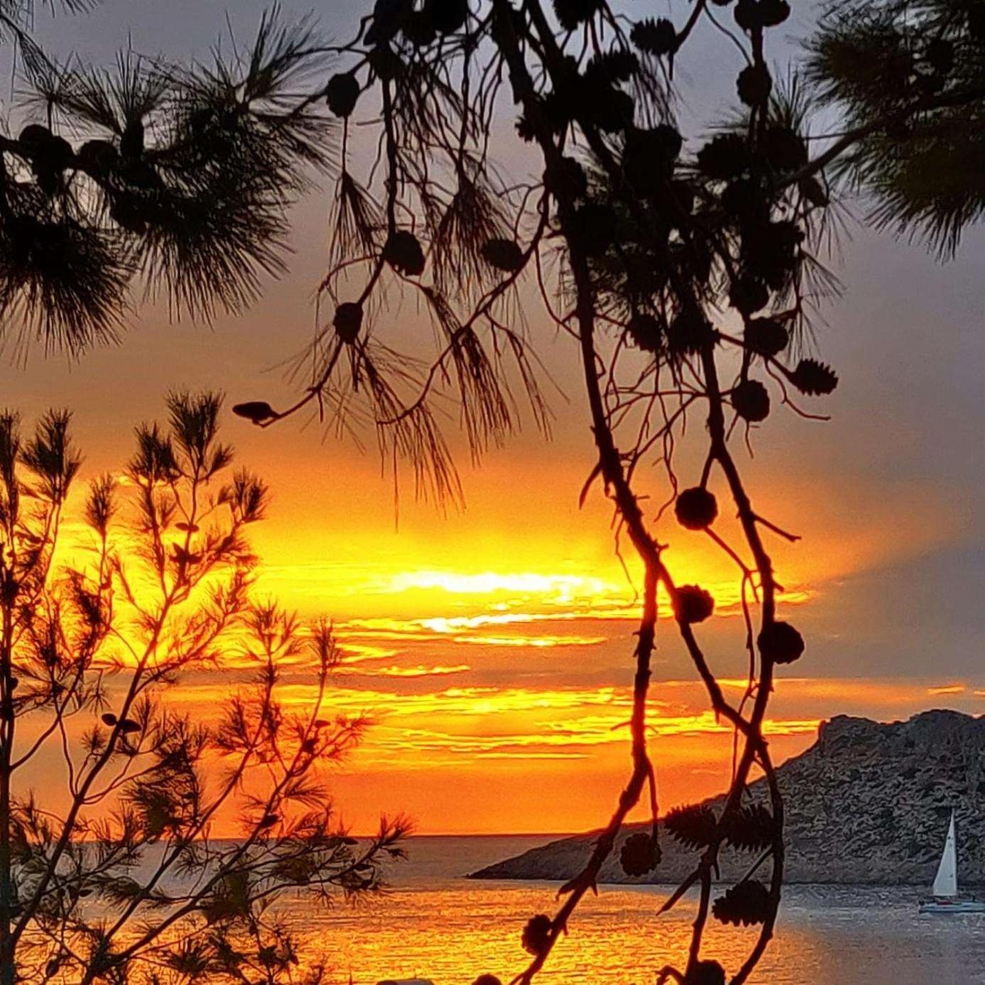 Aphrodite Studios Kalymnos Myrties エクステリア 写真