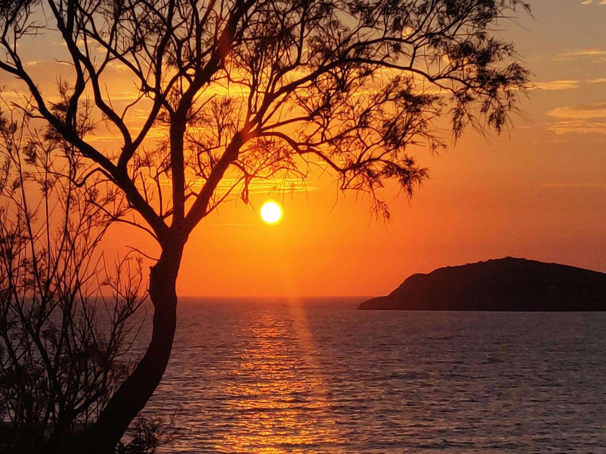 Aphrodite Studios Kalymnos Myrties エクステリア 写真