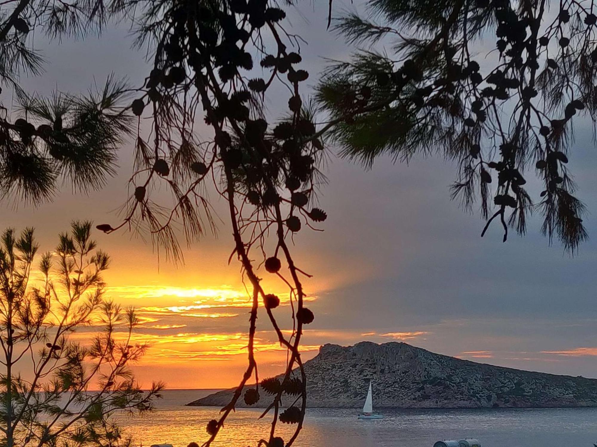 Aphrodite Studios Kalymnos Myrties エクステリア 写真